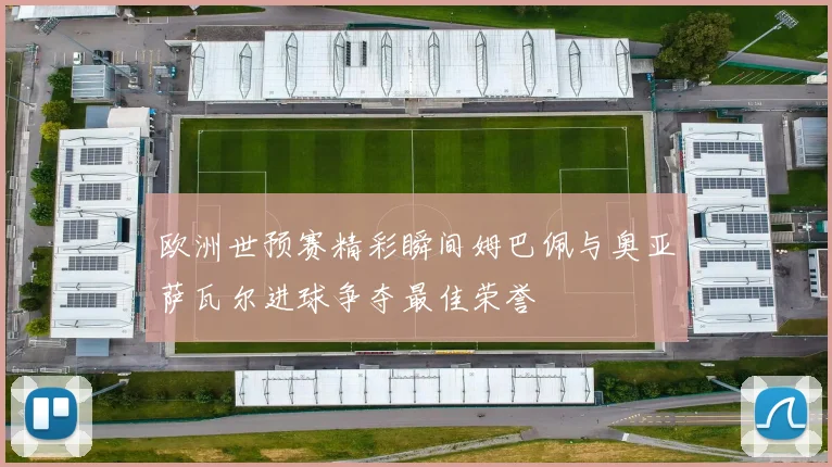 欧洲世预赛精彩瞬间姆巴佩与奥亚萨瓦尔进球争夺最佳荣誉