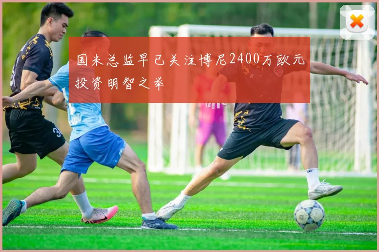 国米总监早已关注博尼2400万欧元投资明智之举
