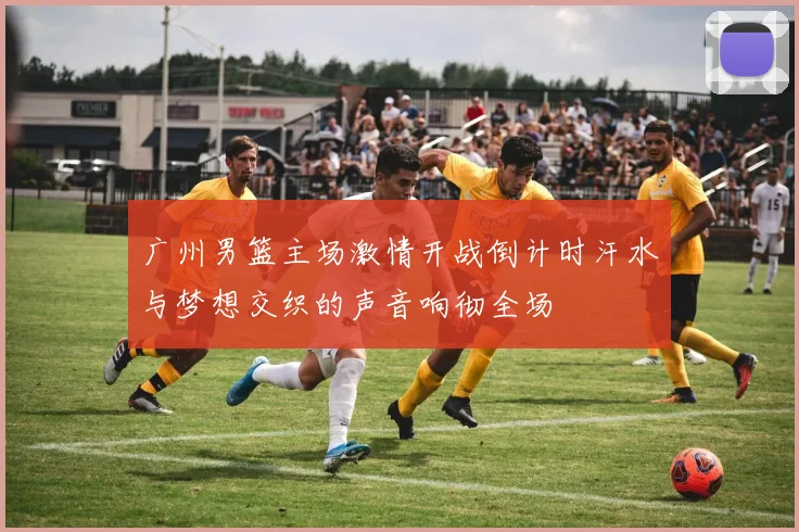 广州男篮主场激情开战倒计时汗水与梦想交织的声音响彻全场