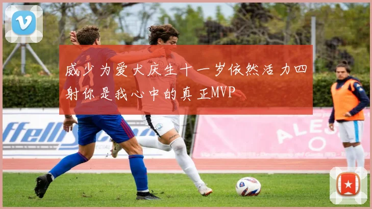 威少为爱犬庆生十一岁依然活力四射你是我心中的真正MVP