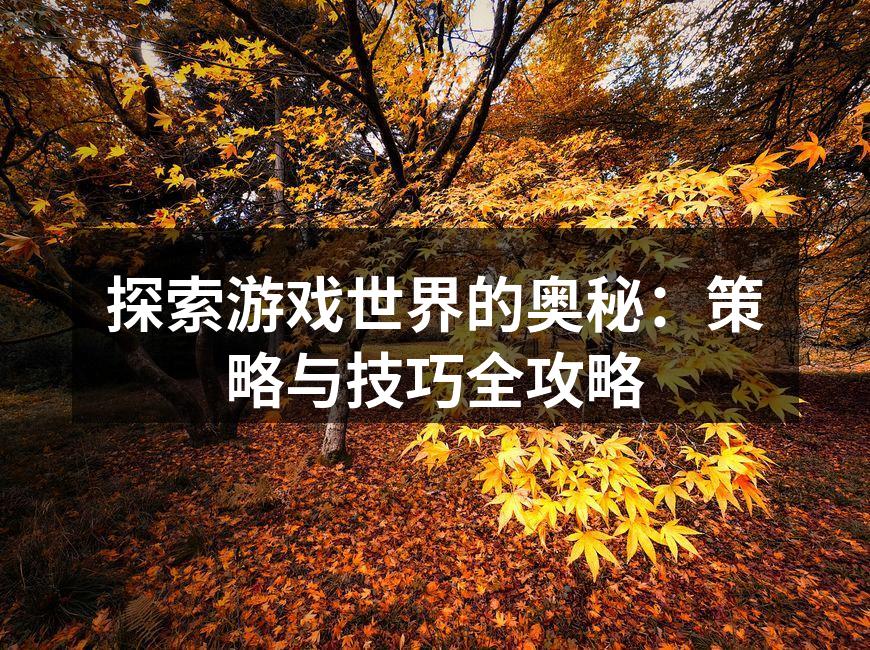 游戏策略讨论